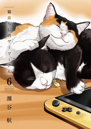 猫暮らしのゲーマーさん(6)