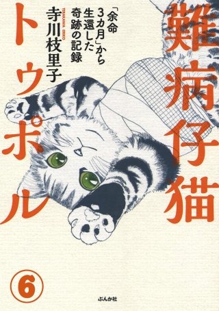 難病仔猫トゥポル「余命3カ月」から生還した奇跡の記録（分冊版）(6)