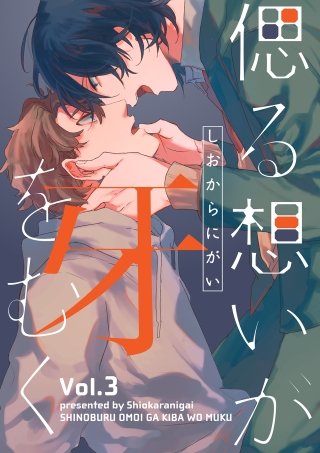 偲る想いが牙をむく【分冊版】(3)