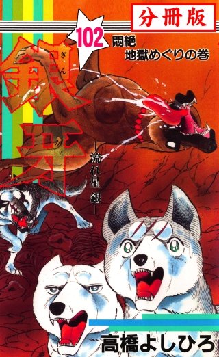 銀牙―流れ星　銀― 【分冊版】(102)