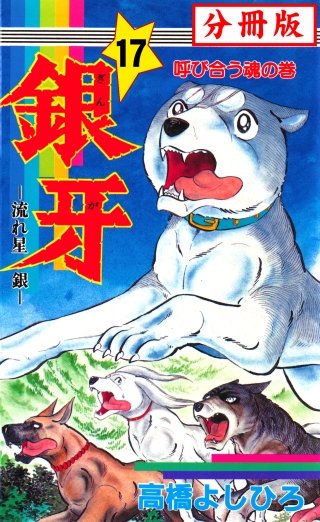 銀牙―流れ星　銀― 【分冊版】(17)