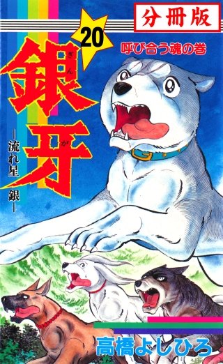 銀牙―流れ星　銀― 【分冊版】(20)