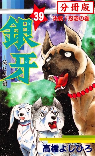 銀牙―流れ星　銀― 【分冊版】(39)
