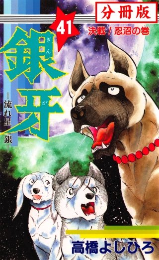 銀牙―流れ星　銀― 【分冊版】(41)