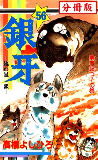 銀牙―流れ星　銀― 【分冊版】(56)