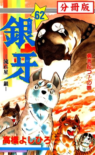 銀牙―流れ星　銀― 【分冊版】(62)
