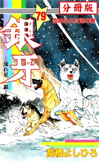 銀牙―流れ星　銀― 【分冊版】(79)