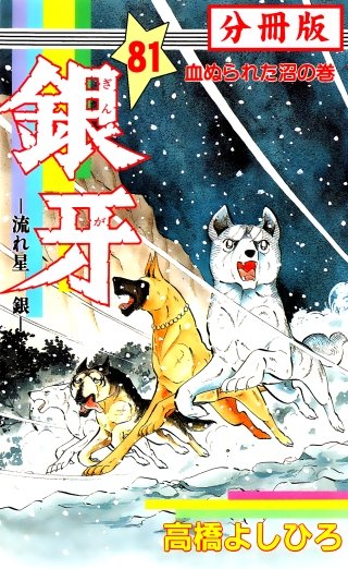 銀牙―流れ星　銀― 【分冊版】(81)