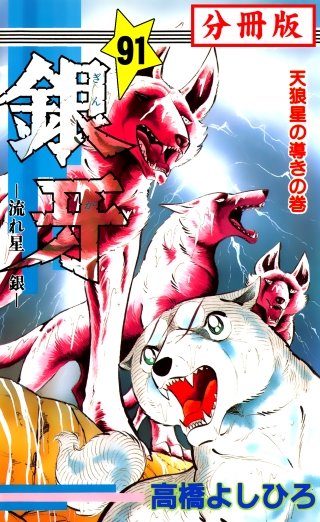 銀牙―流れ星　銀― 【分冊版】(91)