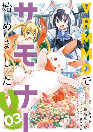 VRMMOでサモナー始めました(3)