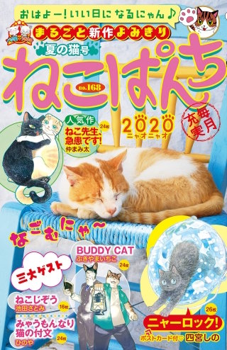 ねこぱんち 夏の猫号
