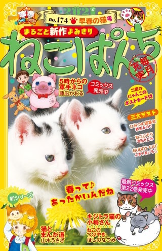 ねこぱんち 早春の猫号