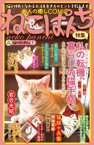 ねこぱんち 猫の日神秘号