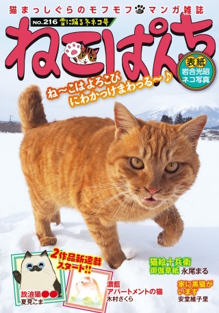 ねこぱんち 雪に踊る冬ネコ号