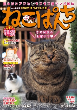ねこぱんち ネコの肉球プニプニ♪号