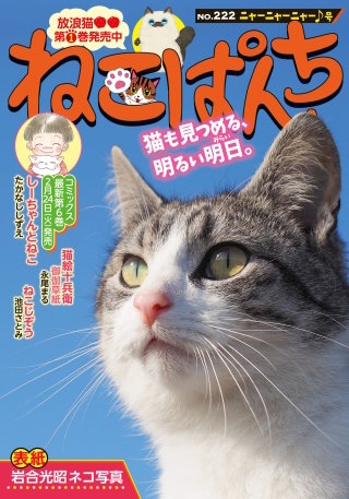 ねこぱんち ニャーニャーニャー♪号