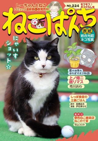 ねこぱんち モフモフ♪ネコぐらし号