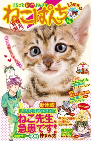 ねこぱんち 13周年号