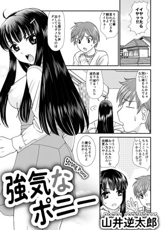 強気なポニー(1)