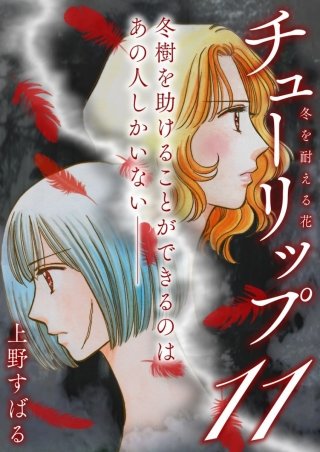 チューリップ~冬を耐える花~【分冊版】(11)