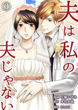 夫は私の夫じゃない(3)