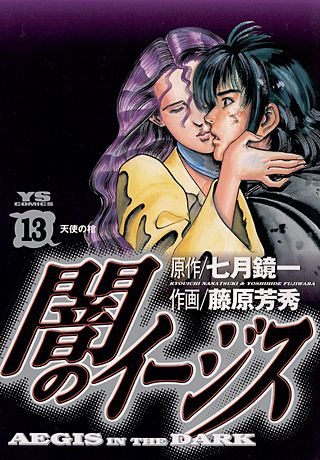 闇のイージス(13)