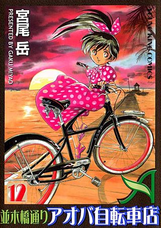 並木橋通りアオバ自転車店(12)