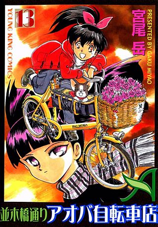 並木橋通りアオバ自転車店(13)