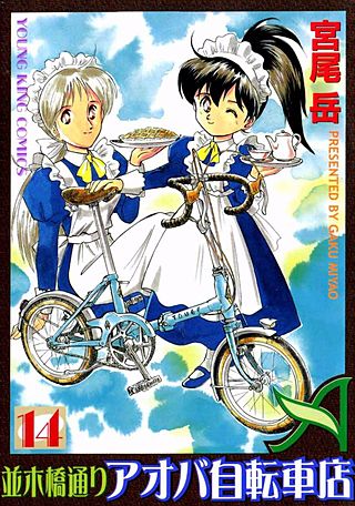 並木橋通りアオバ自転車店(14)