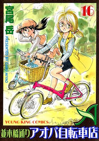 並木橋通りアオバ自転車店(16)