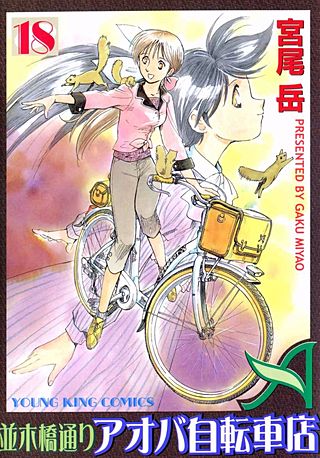 並木橋通りアオバ自転車店(18)