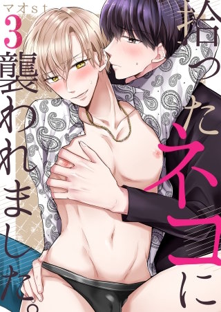 拾ったネコに襲われました。(3)
