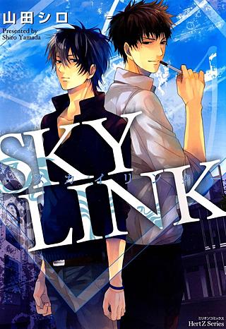 SKY LINK