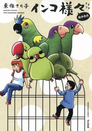 インコ様々(5)おかわり