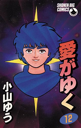 愛がゆく(12)