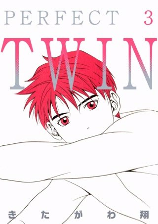 PERFECT TWIN(3)