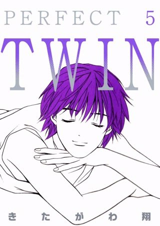 PERFECT TWIN(5)