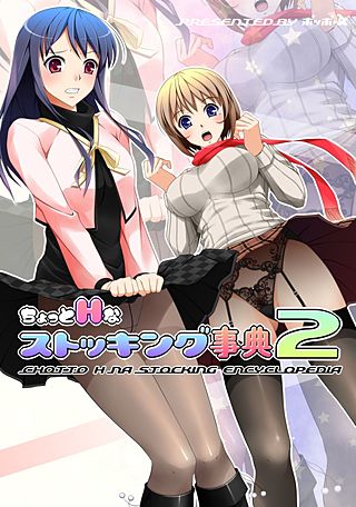ちょっとHなストッキング事典【フルカラー】(2)