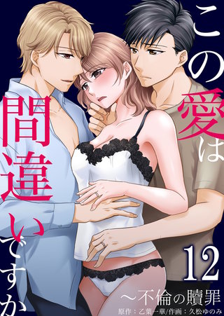 この愛は間違いですか～不倫の贖罪(12)