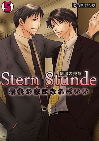 Stern Stunde-刹那の交歓～最後の恋になればいい～(5)