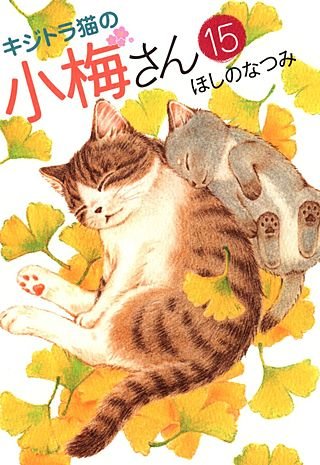 キジトラ猫の小梅さん(15)