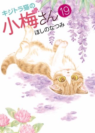 キジトラ猫の小梅さん(19)