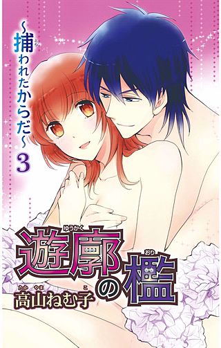 遊廓の檻～捕われたからだ～(3)