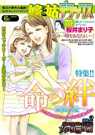嫁と姑デラックス 2013年6月号