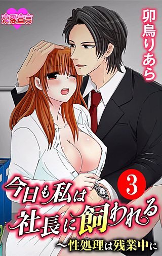 今日も私は社長に飼われる～性処理は残業中に(3)