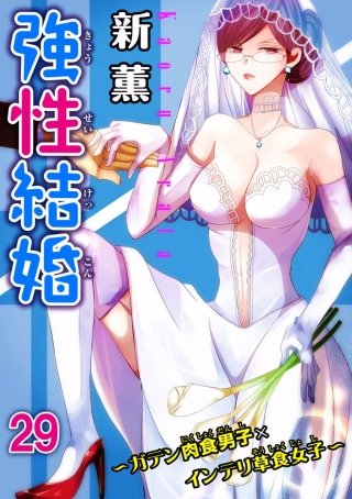 強性結婚～ガテン肉食男子×インテリ草食女子～(29)