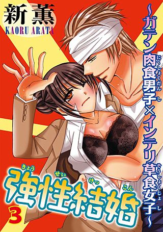 強性結婚～ガテン肉食男子×インテリ草食女子～(3)