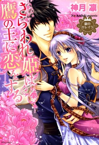 銀のセレイラ 2 さらわれ姫は鷹の王に恋をする1