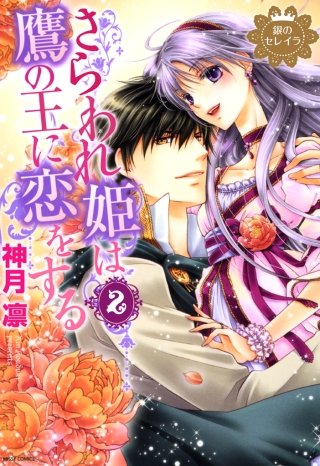 銀のセレイラ 3 さらわれ姫は鷹の王に恋をする2