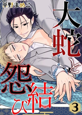 大蛇と怨結び(3)